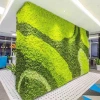 Eternal moss, artificial moss, plant wall, landscape decoration, handcrafted materials, flower materials, artificial moss, simulated moss Application Scenario